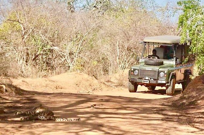 Guided Leopard Safari in Yala National Park in a Land Rover Defender - Practical Details: Transport, Cost, and Booking