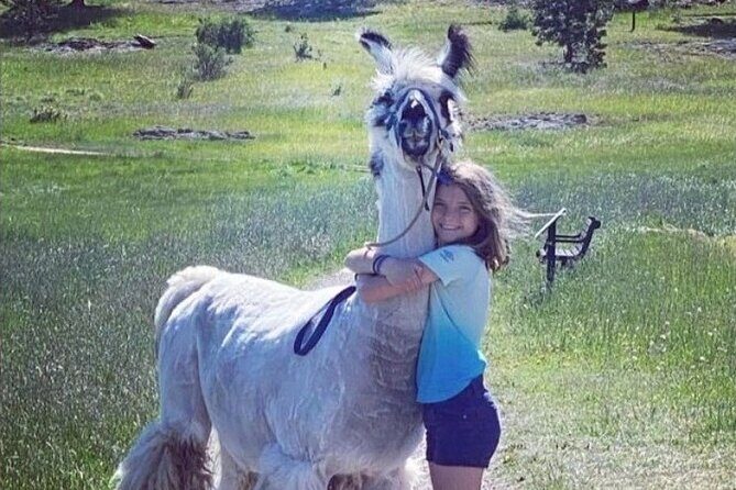 Guided Llama Hike in the Rocky Mountains - FAQs