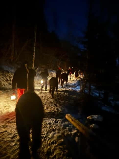 Guided llamawalk with a traditional, homemade cheesefondue - A Unique Evening in Liechtenstein: Llamas, Forest Walks, and Cheese Fondue
