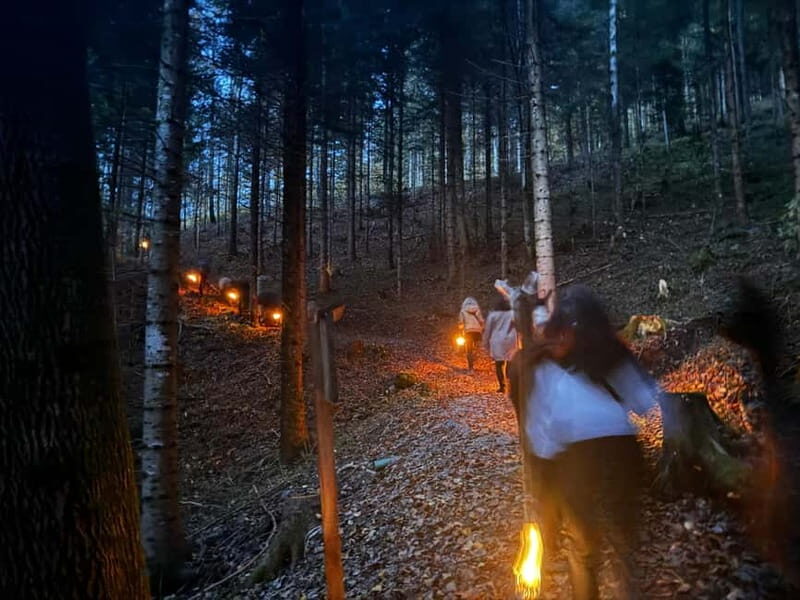 Guided llamawalk with a traditional, homemade cheesefondue - Who Should Consider This Experience?