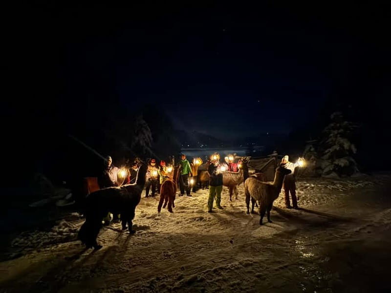 Guided llamawalk with a traditional, homemade cheesefondue - Final Thoughts