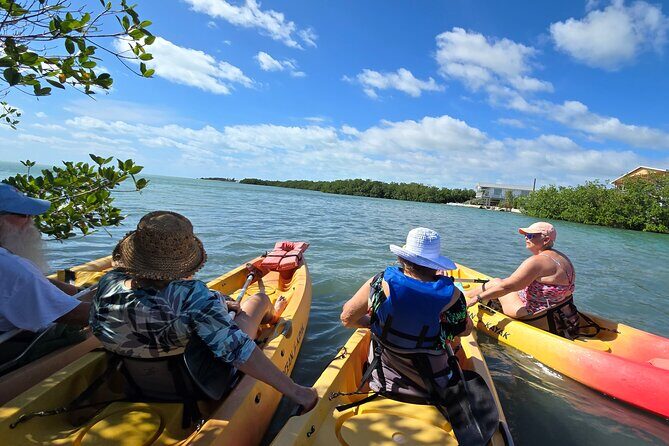 Guided Mangrove Eco Tours Kayak or Paddleboard Adventure - Discovering the Mangrove Waters of Geiger Key