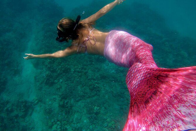 Guided Mermaid Snorkel Experience, Free Videos in West Palm Beach - Who Should Book This Tour?
