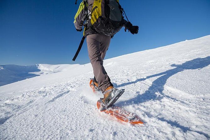 Guided Morning Snowshoe Hike with Huskies - Guided Morning Snowshoe Hike with Huskies: Discover the Arctic’s Quiet Beauty