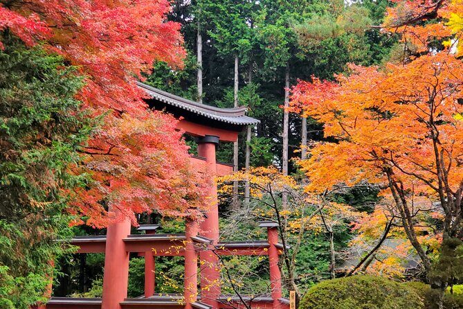 Guided Mount Fuji Private Tour GREEN NUMBER PLATES - Frequently Asked Questions