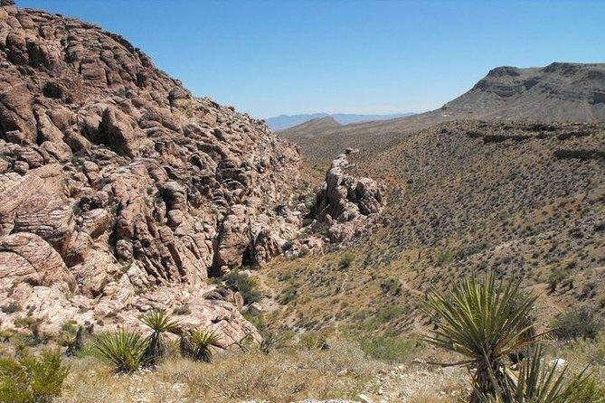 Guided Mountain Bike Tour of Mustang Trail in Red Rock Canyon - Who Will Love This Tour?