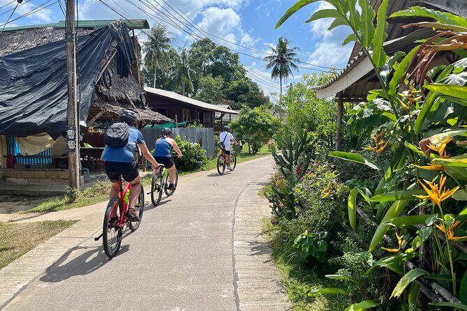 Guided Mountain Biking - Grand Tour - Trails of Ao Nang - Exploring the Trails of Ao Nang: A Guided Mountain Biking Adventure