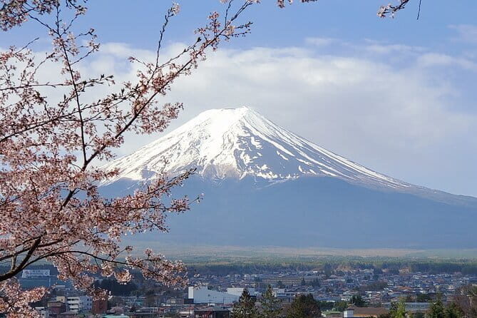 Guided Mt. Fuji & Hakone Tour Bullet Train Return GREEN NUMBER - A Deep Dive into the Experience