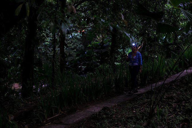 Guided Night Hike Arenal Mundo Aventura - In-Depth Review of the Guided Night Hike at Arenal Mundo Aventura