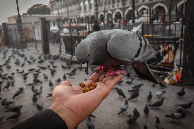 Guided Night Walking Tour in Mumbai - Explore the best nightlife with a local - Final Thoughts: Who Will Love This Tour?