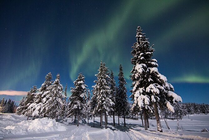 Guided Northern Lights Tour at Kiruna - Who Will Love This Tour?