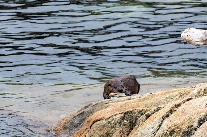 Guided Oceanside Private Hike - Final Thoughts: Why Choose This Guided Hike?