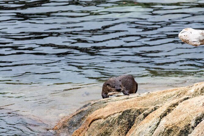 Guided Oceanside Private Hike - FAQs