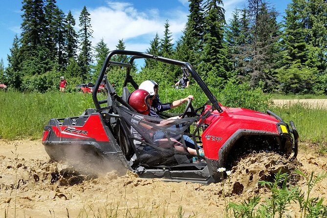 Guided Off-Road Vehicle Tours in North Idaho Forests - Exploring North Idaho’s Forests by Off-Road Vehicle: An Adventure Review