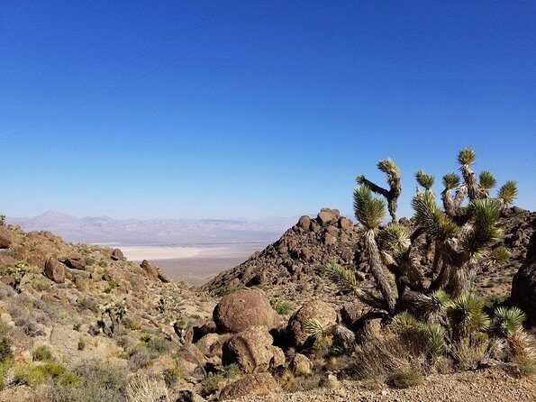 Guided or Self-Guided Road Bike Tour of Red Rock Canyon - Key Points
