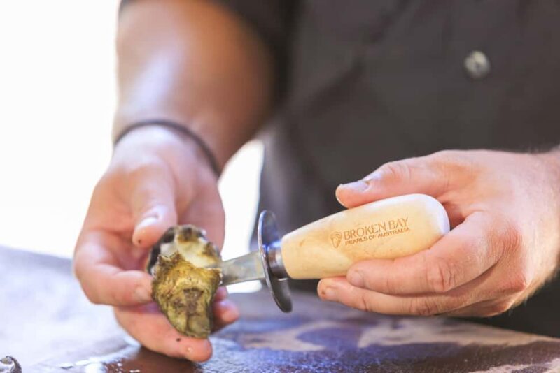Guided Oyster Tasting - Who Should Consider This Tour?