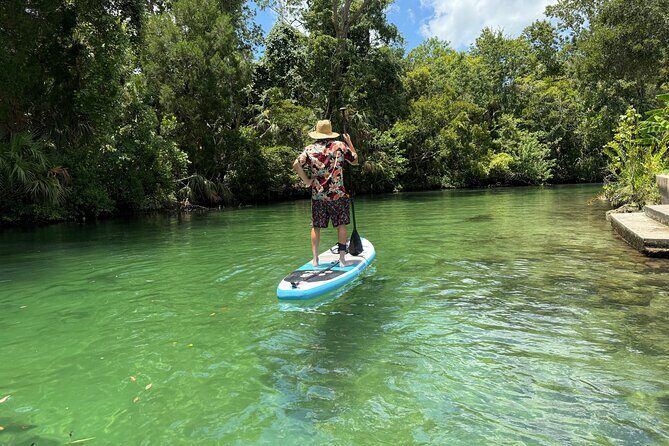 Guided Paddleboard Adventure on Weeki Wachee Springs - A Hands-On Adventure on Florida’s Weeki Wachee Springs