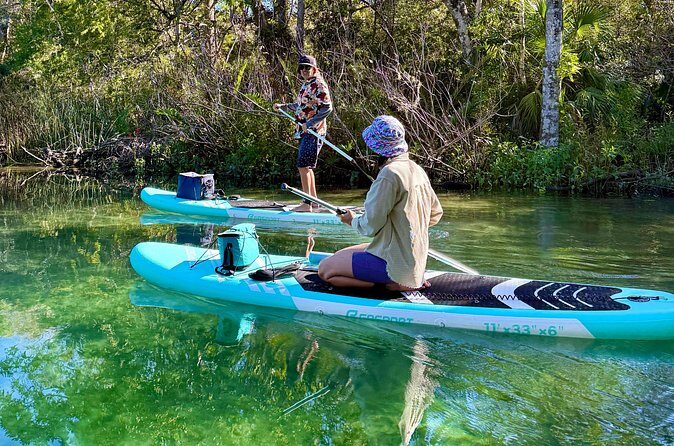Guided Paddleboard Adventure on Weeki Wachee Springs - Authentic Experience in a Natural Setting