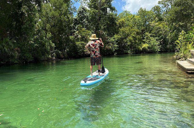 Guided Paddleboard Adventure on Weeki Wachee Springs - Final Thoughts