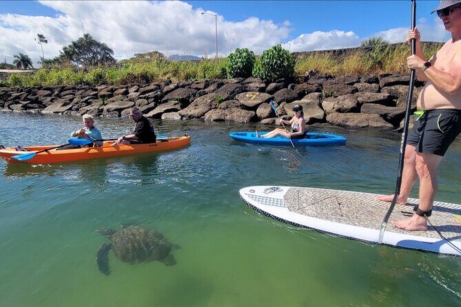 Guided Paddleboard and Kayak Tour on the Anahulu River - Exploring Oahu’s North Shore by Water: A Guide to the Paddleboard & Kayak Tour on the Anahulu River