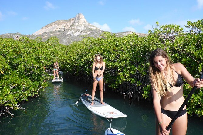 Guided paddleboarding (SUP) mangrove ECO tour for beginners - Experience the Calm of Curacao’s Mangroves on a Guided SUP Eco Tour
