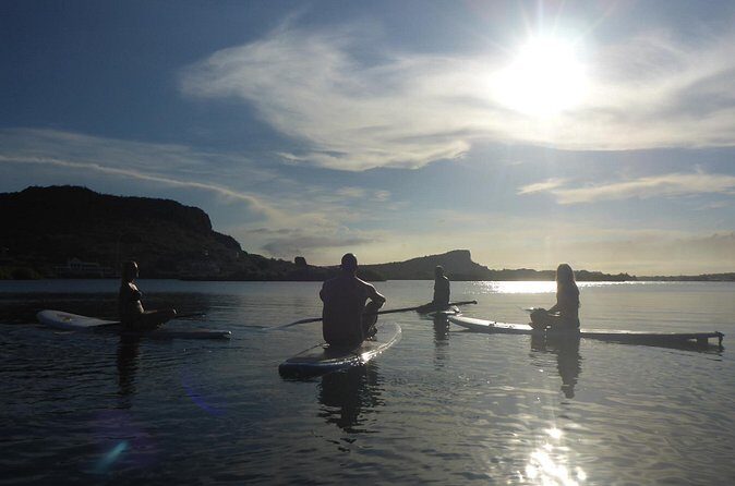 Guided paddleboarding (SUP) mangrove ECO tour for beginners - Final Thoughts: The True Value of the Mangrove SUP Eco Tour