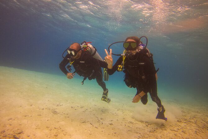 Guided Padi Discover Scuba Diving for Non-Certified Divers - Why Choose This Aruba Discover Scuba Experience?