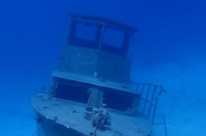 Guided Padi Discover Scuba Diving for Non-Certified Divers - Final Thoughts: Who Will Love This Tour?