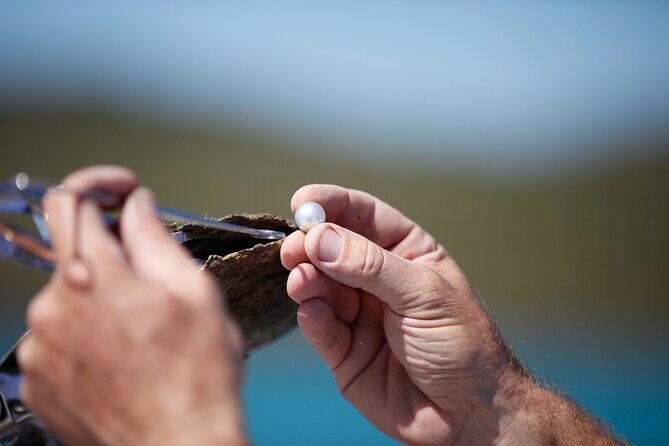 Guided Paspaley Pearl Farm Tour with Return Transfers - A Closer Look at the Guided Paspaley Pearl Farm Tour in Broome