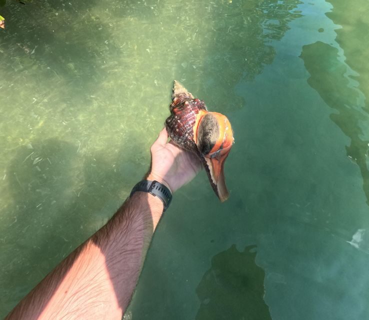 Guided Pedal Kayak Tours in Anna Maria and Bradenton - Who Should Consider This Tour?