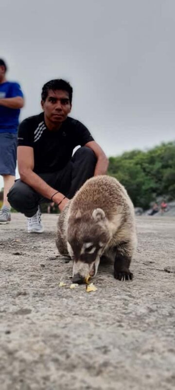 Guided Pico Norte Summit Hike on Cerro de la Silla Monterrey - Final Words: Is it Worth It?
