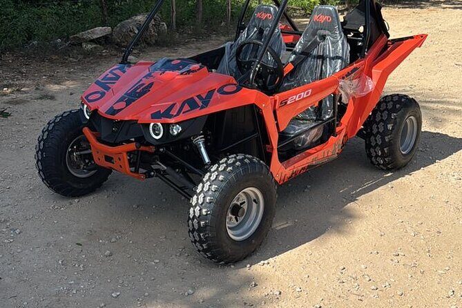 Guided Polaris Buggy Tour to Punta Cana - Guided Polaris Buggy Tour to Punta Cana