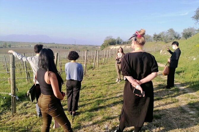 Guided Premium Tour in Lugana DOC - 5 wines from Perla del Garda - Key Points