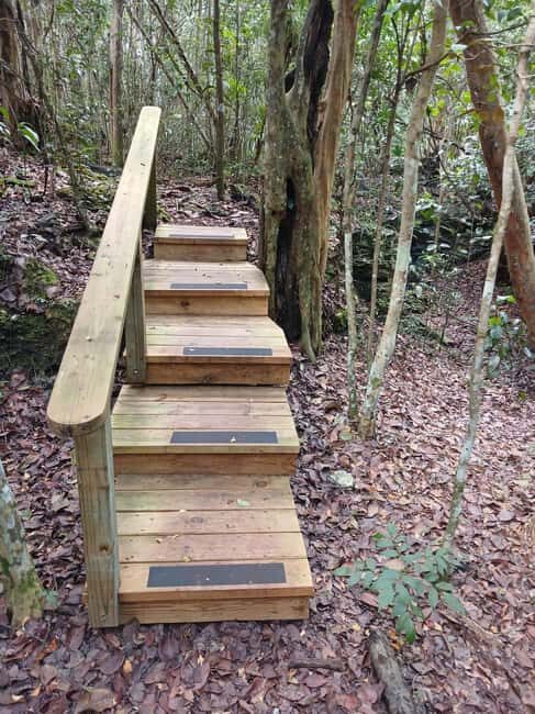 Guided Primeval Nature Walk Tour - Final Thoughts