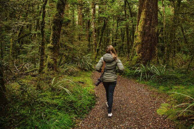 Guided Private Milford Sound Day Tour from Te Anau(Cruise Included) - An In-Depth Look at the Milford Sound Private Tour