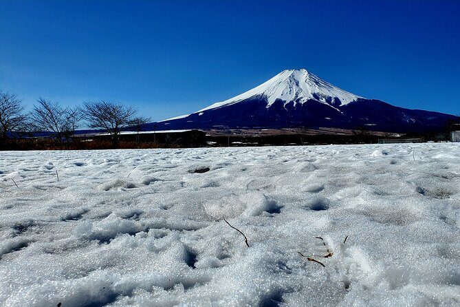 Guided Private Mt. Fuji and Hakone Tour GREEN NUMBER PLATES - Exploring Cultural Heritage: Kitaguchi Hongu Fuji Sengen Jinja Shrine