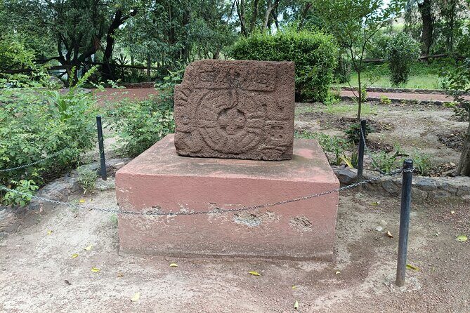Guided Private Tour Teotihuacan,Basilica of Guadalupe,Tlatelolco - In-Depth Review of the Tour Experience