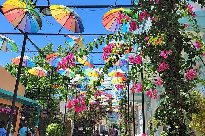 Guided Puerto Plata City Tour - A Deep Dive into the Puerto Plata Guided Tour