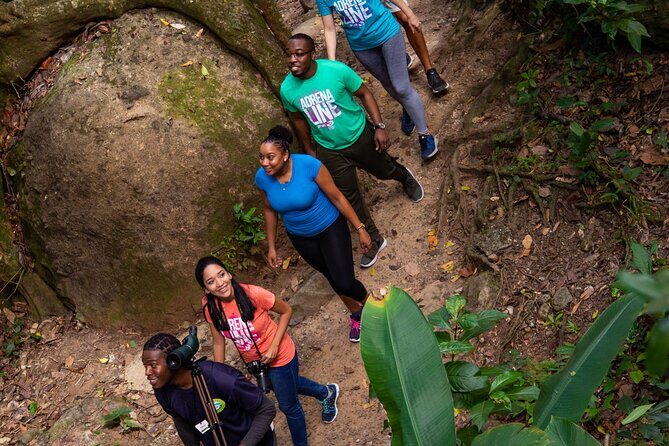 Guided Rainforest Hike on the Jacquot Trail  Castries, St Lucia - Key Points