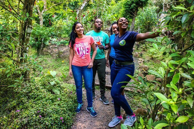 Guided Rainforest Hike on the Jacquot Trail  Castries, St Lucia - FAQ Section