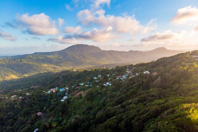 Guided Rainforest Hike on the Jacquot Trail  Castries, St Lucia - Final Thoughts