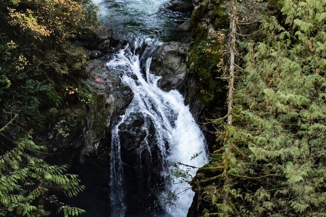 Guided Rainforest & Suspension Bridge Private Hike - Who Will Love This Tour?