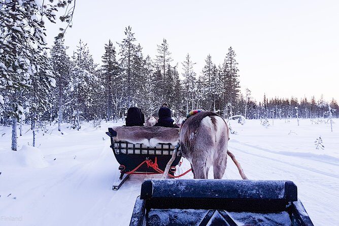 Guided reindeer farm visit and one hour sledge safari - Who Should Consider This Tour?