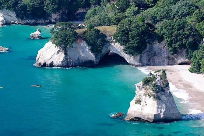 Guided Riverhead Tavern Kayak Tour in Auckland - FAQ