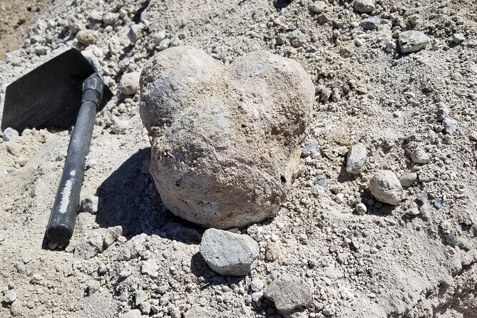 Guided Rock Collecting Tour with a Geologist near Salt Lake City - A Deep Dive into the Geode Tour Experience