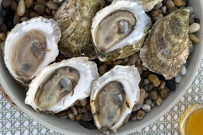 Guided Rooftop Oyster Tasting with an Oyster Sommelier - Key Points