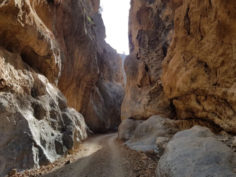 Guided Safari South Crete & Tripitis Gorge - An In-Depth Look at the Guided Safari South Crete & Tripitis Gorge