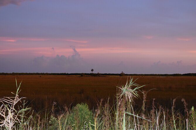 Guided Safari-Style Jeep Tour - Who Will Love This Tour?