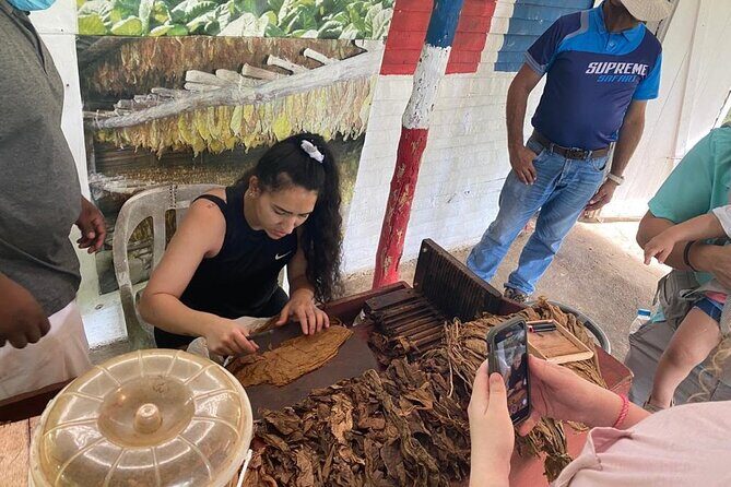 Guided Safari Tour in Punta Cana - Key Points