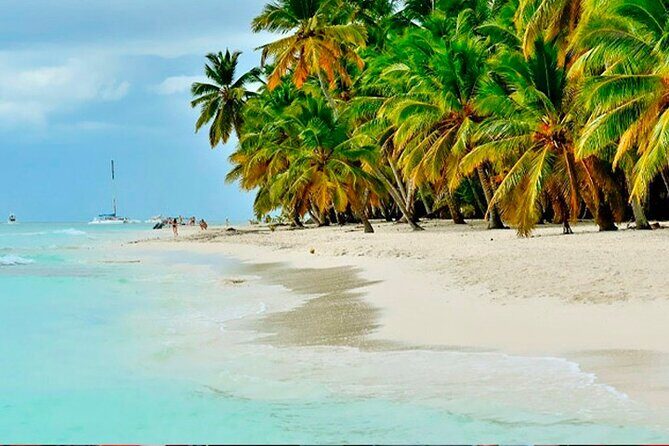 Guided Saona Island Tour in Punta Cana - Why This Tour Offers Great Value